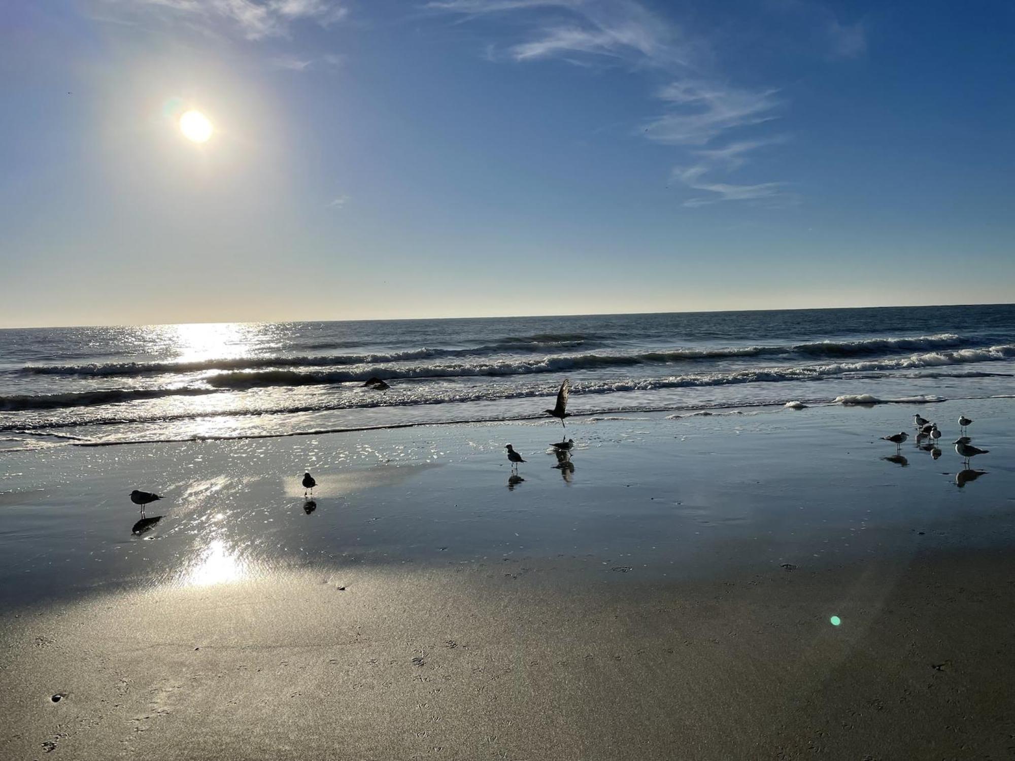 Blue Palmetto Vacation Rentals Myrtle Beach Zewnętrze zdjęcie