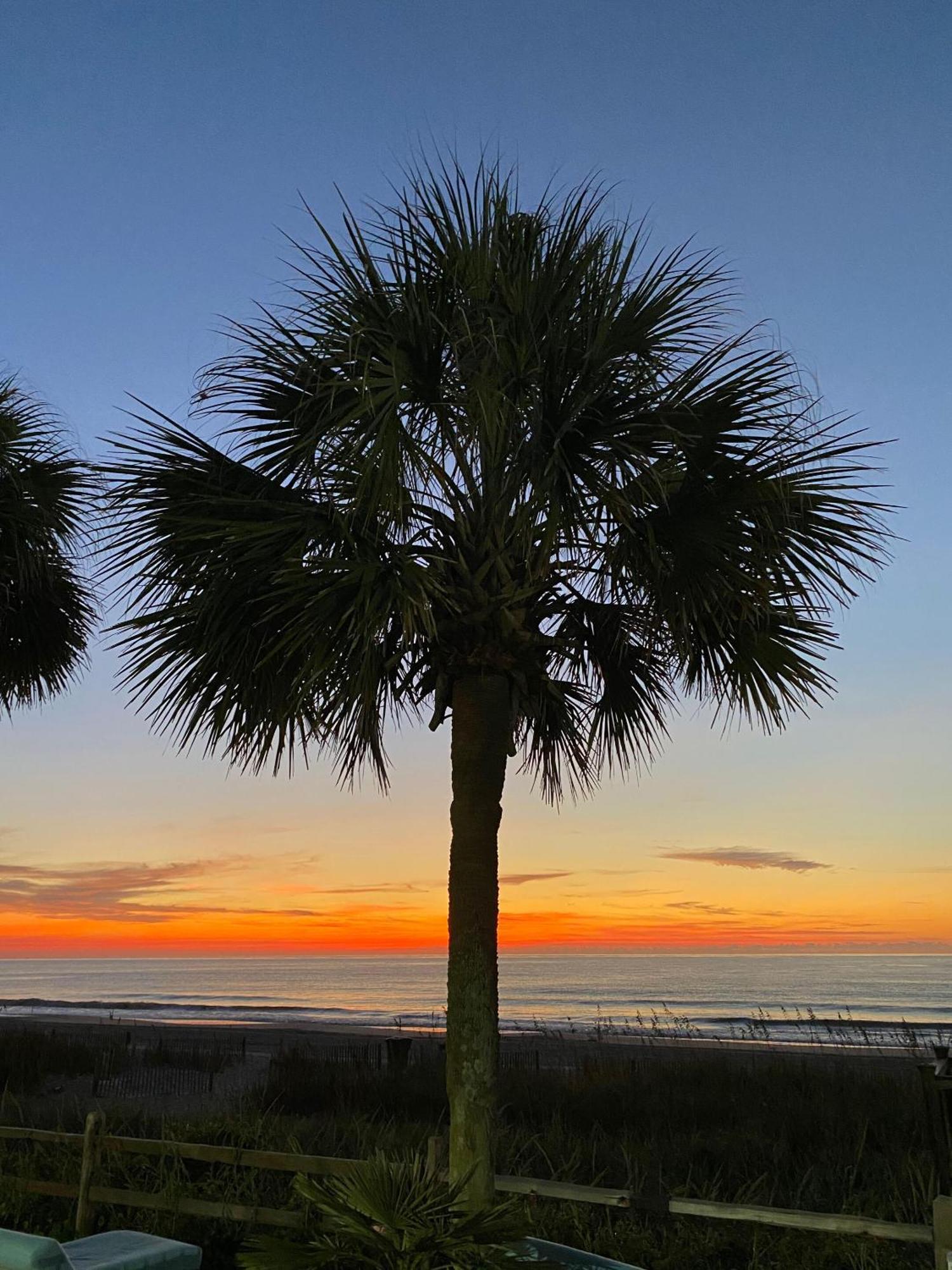 Blue Palmetto Vacation Rentals Myrtle Beach Zewnętrze zdjęcie